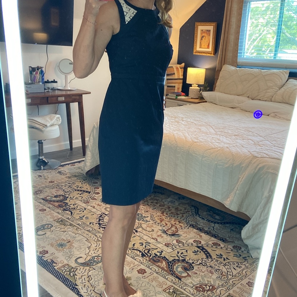 NWT Ann Taylor dress - Picture 4 of 15